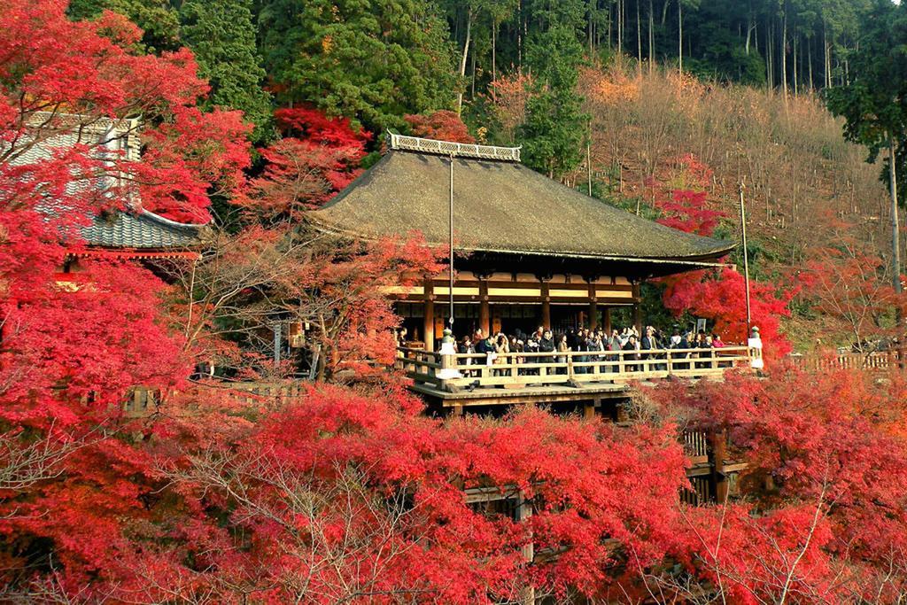 Zen Kyoto Kinkaku-Ji Temple Quioto Exterior foto